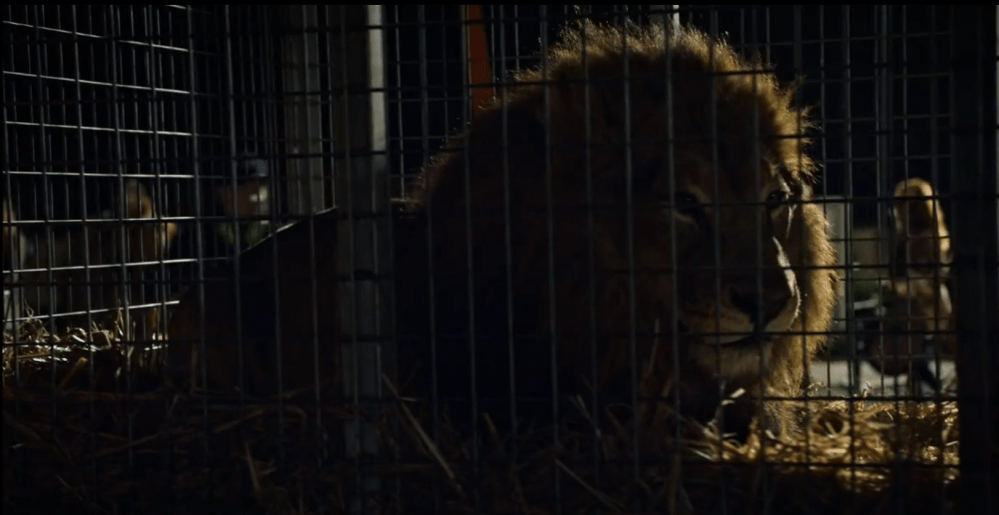 Screen Shot 2017-05-12 at 12.32.35 PM