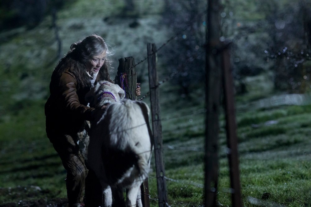 POST AIR TLO_308_BK_0190